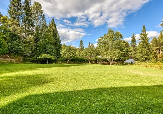 Terrain à vendre -  1er rang de Doncaster, Val David, J0T 2N0