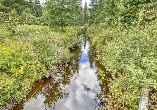 Terrain à vendre -  1er rang de Doncaster, Val David, J0T 2N0