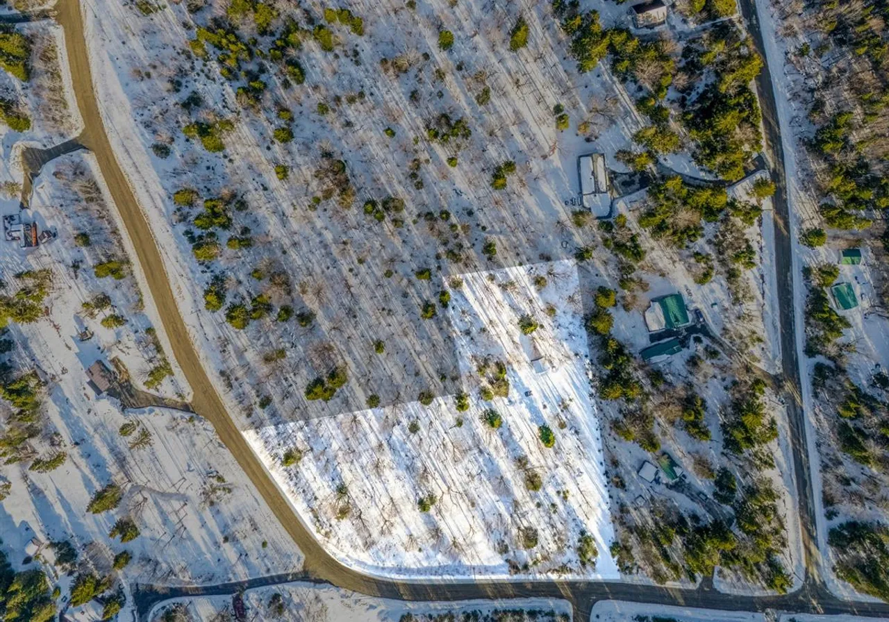 Terrain à vendre - 124 Ch. du Bûché, Notre-Dame-Des-Boies, J0B 2E0