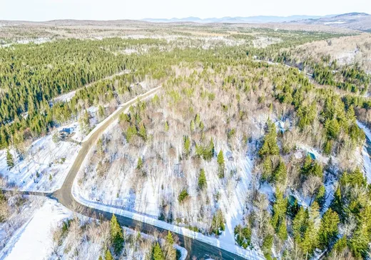 Terrain à vendre - 124 Ch. du Bûché, Notre-Dame-Des-Boies, J0B 2E0