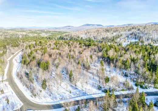 Terrain à vendre - 124 Ch. du Bûché, Notre-Dame-Des-Boies, J0B 2E0