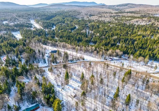 Terrain à vendre - 124 Ch. du Bûché, Notre-Dame-Des-Boies, J0B 2E0