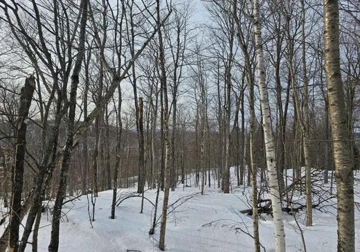 Land for Sale -  Rue de Zermatt, Sainte-Agathe-des-Monts, J8C 2A1