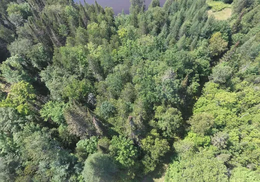 Terrain à vendre - 2192 Ch. de l'Aubergiste, Mont-Laurier, J9L 3G7