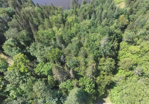 Terrain à vendre - 2192 Ch. de l'Aubergiste, Mont-Laurier, J9L 3G7