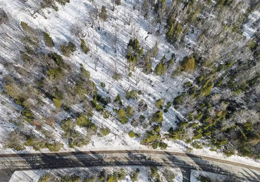 Terrain à vendre -  Rue Bordeleau, Magog, J1X 0M9