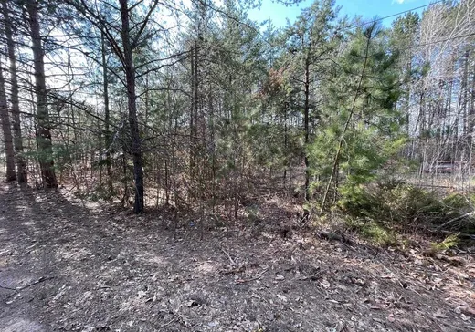 Terrain à vendre -  Ch. Lafleur, Otter Lake, J0X2P0
