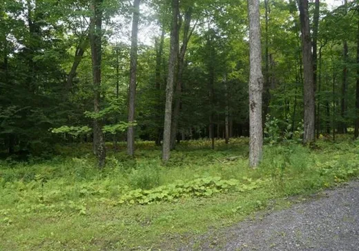 Land for sale -  Ch. Dewey, Stanstead, J0B3E0