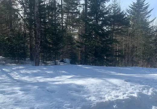 Land for sale - 9410 Rue des Érables, Lac-Mégantic, G0Y1G0