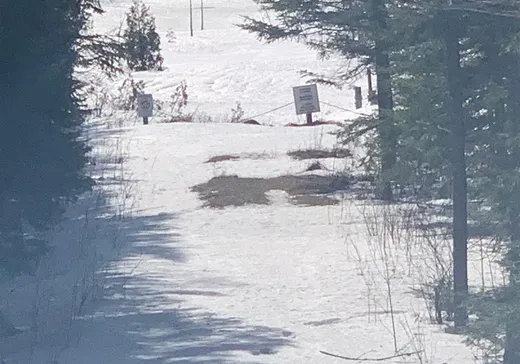 Terrain à vendre - 9410 Rue des Érables, Lac-Mégantic, G0Y 1G0