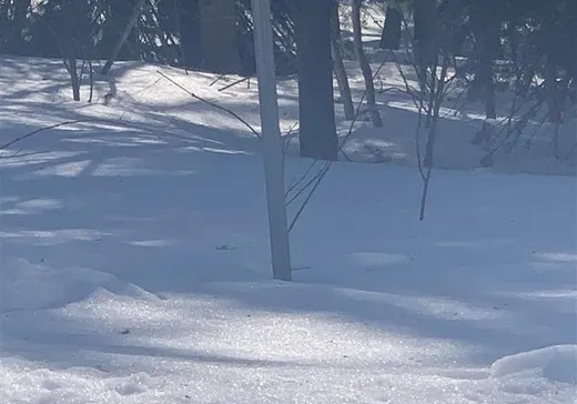 Terrain à vendre - 9410 Rue des Érables, Lac-Mégantic, G0Y 1G0