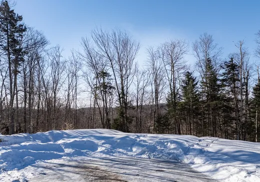 Terrain à vendre -  Ch. du Sanctuaire, Saint-Sauveur, J0R1R1