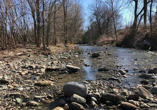 Terrain à vendre -  Rue des Bouleaux, Sutton, J0E 2K0