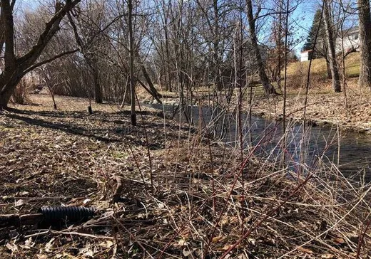Terrain à vendre -  Rue des Bouleaux, Sutton, J0E 2K0