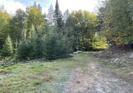 Land for Sale -  Rue des Guides, La Minerve, J0T 1S0