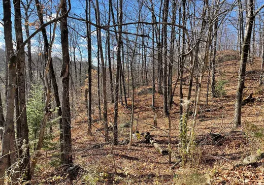 Terrain à vendre -  Ch. Forest Hill, Saint-Faustin, J0T1B0