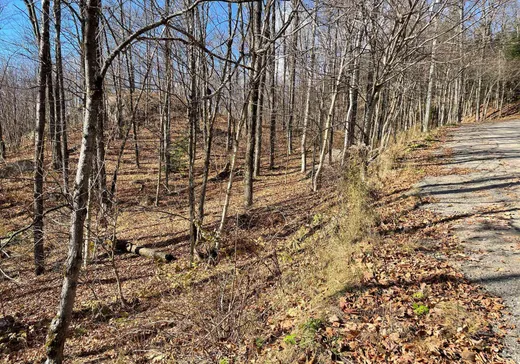 Land for Sale -  Ch. Forest Hill, Saint-Faustin, J0T 1B0