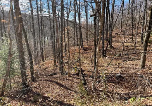 Land for Sale -  Ch. Forest Hill, Saint-Faustin, J0T 1B0