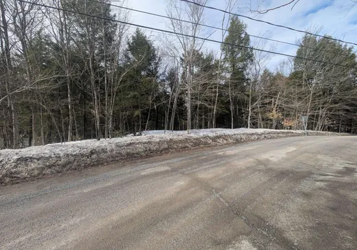 Terrain à vendre -  Ch. des Papillons, Ste-Anne-Des-Lacs, J0R1B0