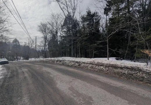 Land for Sale -  Ch. des Papillons, Ste-Anne-Des-Lacs, J0R 1B0