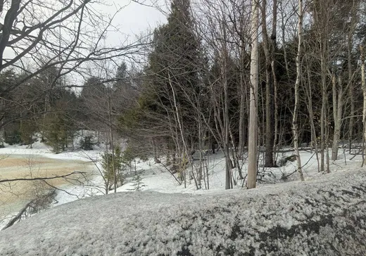 Land for Sale -  Ch. des Papillons, Ste-Anne-Des-Lacs, J0R 1B0
