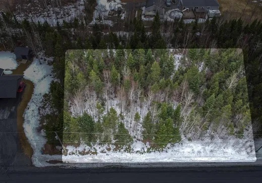 Terrain à vendre - 908 Rue Rodrigue, Saint-René, G0M1Z0
