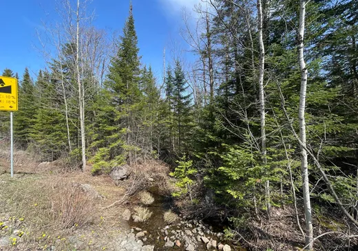 Terrain à vendre -  Mtée Ste-Marie, St-Adolphe d'Howard, J0T 2B0