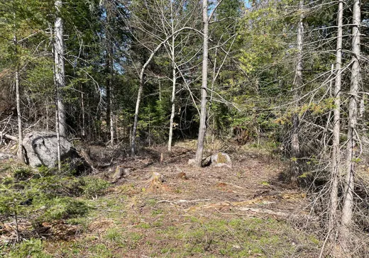 Land for Sale -  Ch. du Lac-Hendrix, Morin-Heights, J0R 1H0