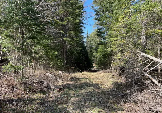 Land for Sale -  Ch. du Lac-Hendrix, Morin-Heights, J0R 1H0