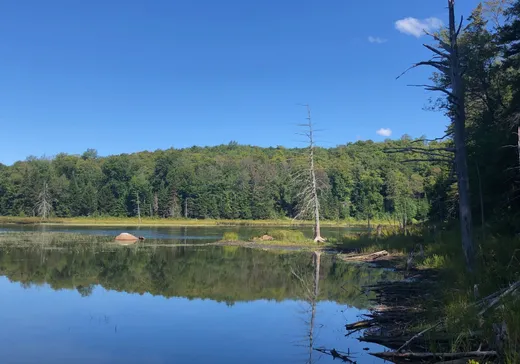 Land for Sale -  Ch. du Lac-Gustave, Wentworth, J0T 1Y0