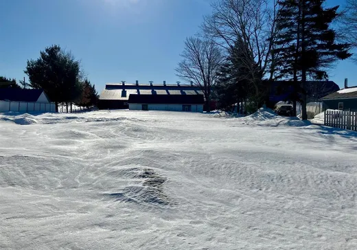 Terrain à vendre - 32 Rue Principale, St-Raphael-de-Bellechasse, G0R 4C0
