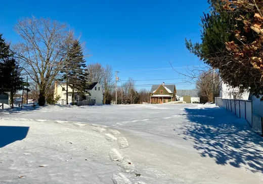 Terrain à vendre - 32 Rue Principale, St-Raphael-de-Bellechasse, G0R 4C0