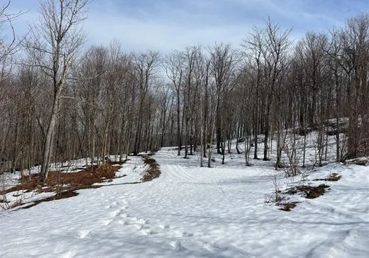 Terrain à vendre - 168 Ch. Gaudreau, Notre-Dame-Des-Boies, J0B2E0