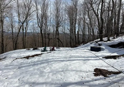 Terrain à vendre - 168 Ch. Gaudreau, Notre-Dame-Des-Boies, J0B 2E0