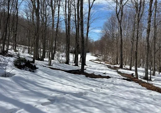 Terrain à vendre - 168 Ch. Gaudreau, Notre-Dame-Des-Boies, J0B 2E0