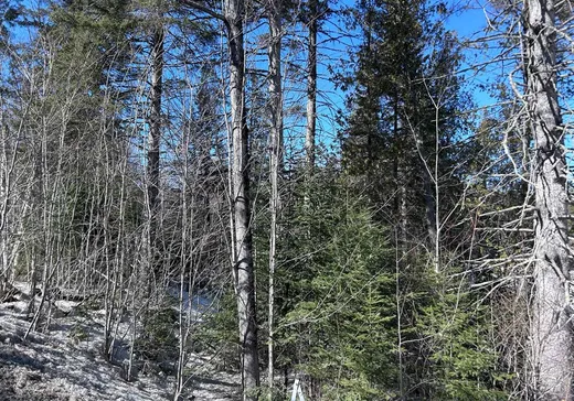 Terrain à vendre -  Rue Séraphin, Sainte-Adèle, J8B 2G4