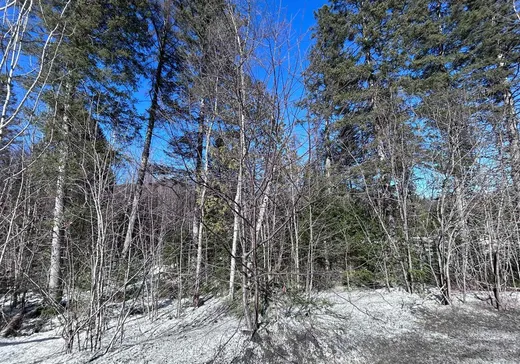Terrain à vendre -  Rue Séraphin, Sainte-Adèle, J8B 2G4