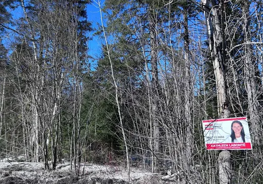 Terrain à vendre -  Rue Séraphin, Sainte-Adèle, J8B 2G4
