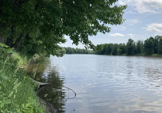Terrain à vendre -  Tsse Raymond, Lachute, J0V 1X0
