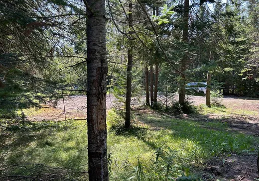 Terrain à vendre -  Ch. du Moulin, St-Adolphe d'Howard, J0T 2B0