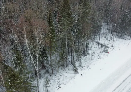 Terrain à vendre - 21 Rue Groleau, Val-d'Or, J9P4P5