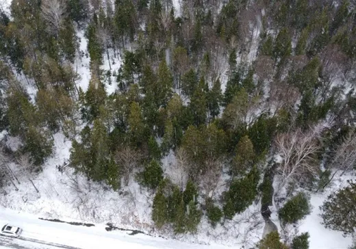 Terrain à vendre -  Route de l'église, Notre-Dame-Des-Boies, J0B2E0
