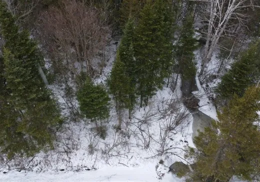 Terrain à vendre -  Route de l'Église, Notre-Dame-Des-Boies, J0B 2E0