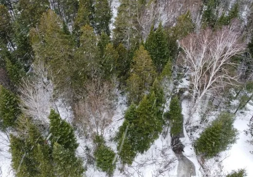 Terrain à vendre -  Route de l'Église, Notre-Dame-Des-Boies, J0B 2E0