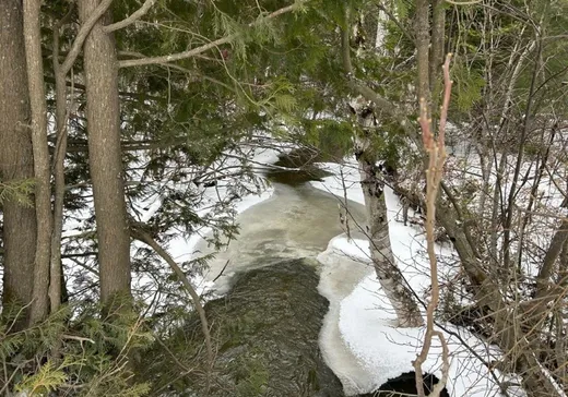 Terrain à vendre -  Route de l'Église, Notre-Dame-Des-Boies, J0B 2E0