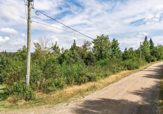 Terrain à vendre - 128 Ch. du Corbeau, Notre-Dame-Des-Boies, J0B 2E0