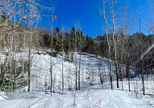 Terrain à vendre - 310 Ch. de la Montagne, Wakefield, J0X3G0