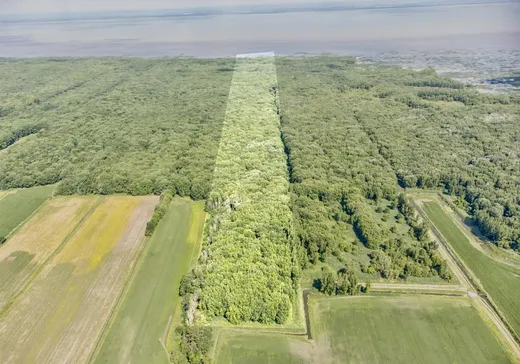 Terrain à vendre -  Rg du Petit-Bois, Pierreville, J0G1J0
