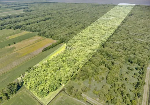 Terrain à vendre -  Rg du Petit-Bois, Pierreville, J0G 1J0