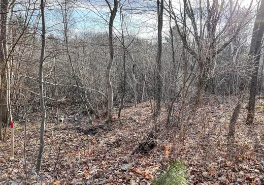 Terrain à vendre -  Rue des Muguets, Drummondville, J2A 1H5
